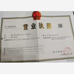 大興投資咨詢(xún)合伙企業(yè)